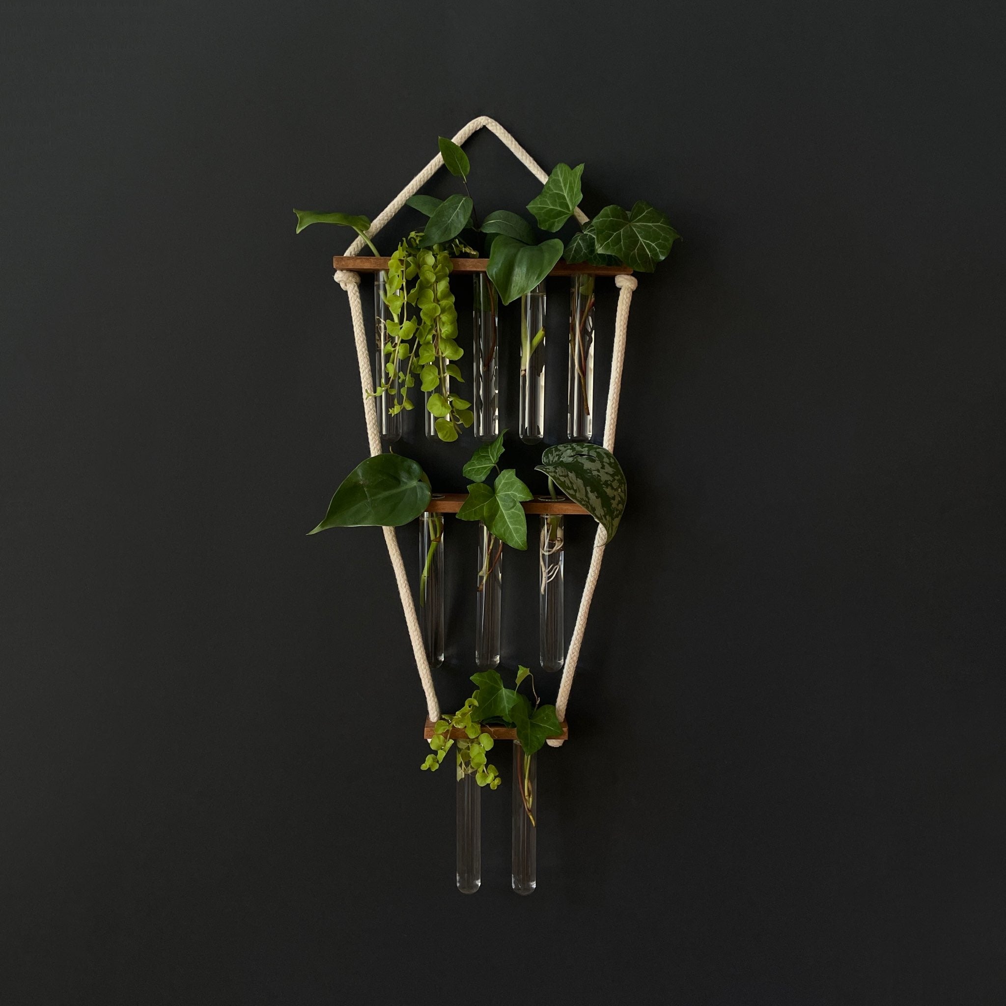Hängende Pflanzenvermehrungsstation aus Holz – 10 Reagenzgläser im 5-3-2 Design