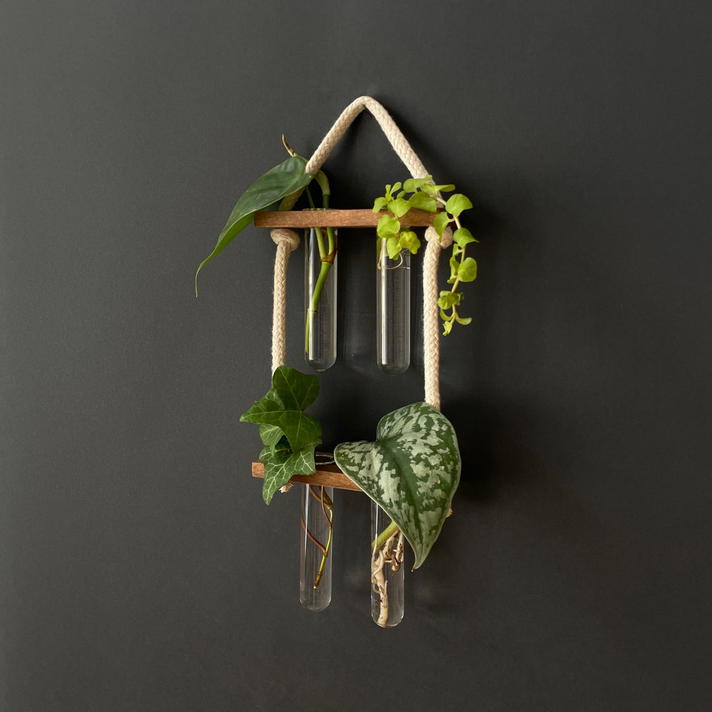 Pflanzenvermehrungsstation aus Holz – 2-2 Reagenzgläser, hängend & handgemacht