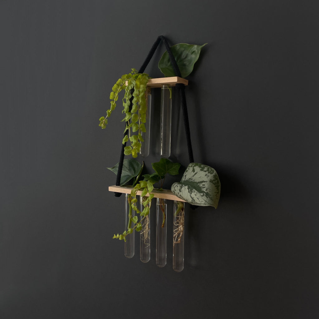 Pflanzenvermehrungsstation Holz hängend – 6 Reagenzgläser im 2-4 Layout