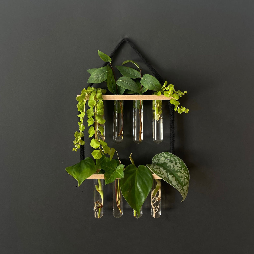 Pflanzenvermehrungsstation Holz hängend - 8 Reagenzgläser Handarbeit