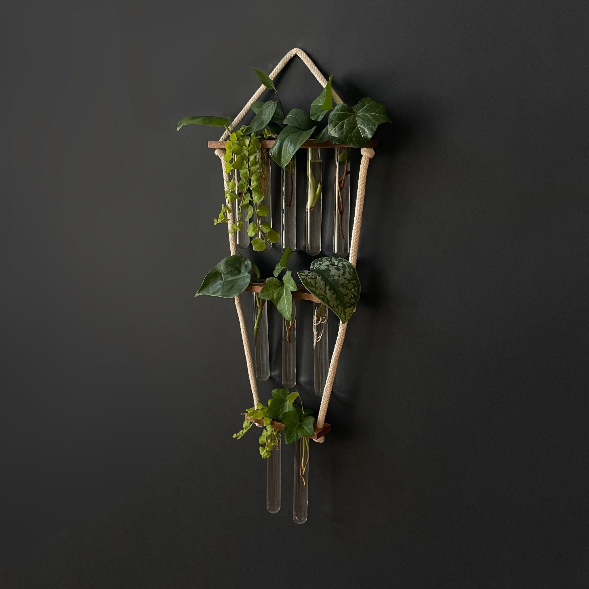 Hängende Pflanzenvermehrungsstation aus Holz – 10 Reagenzgläser im 5-3-2 Design