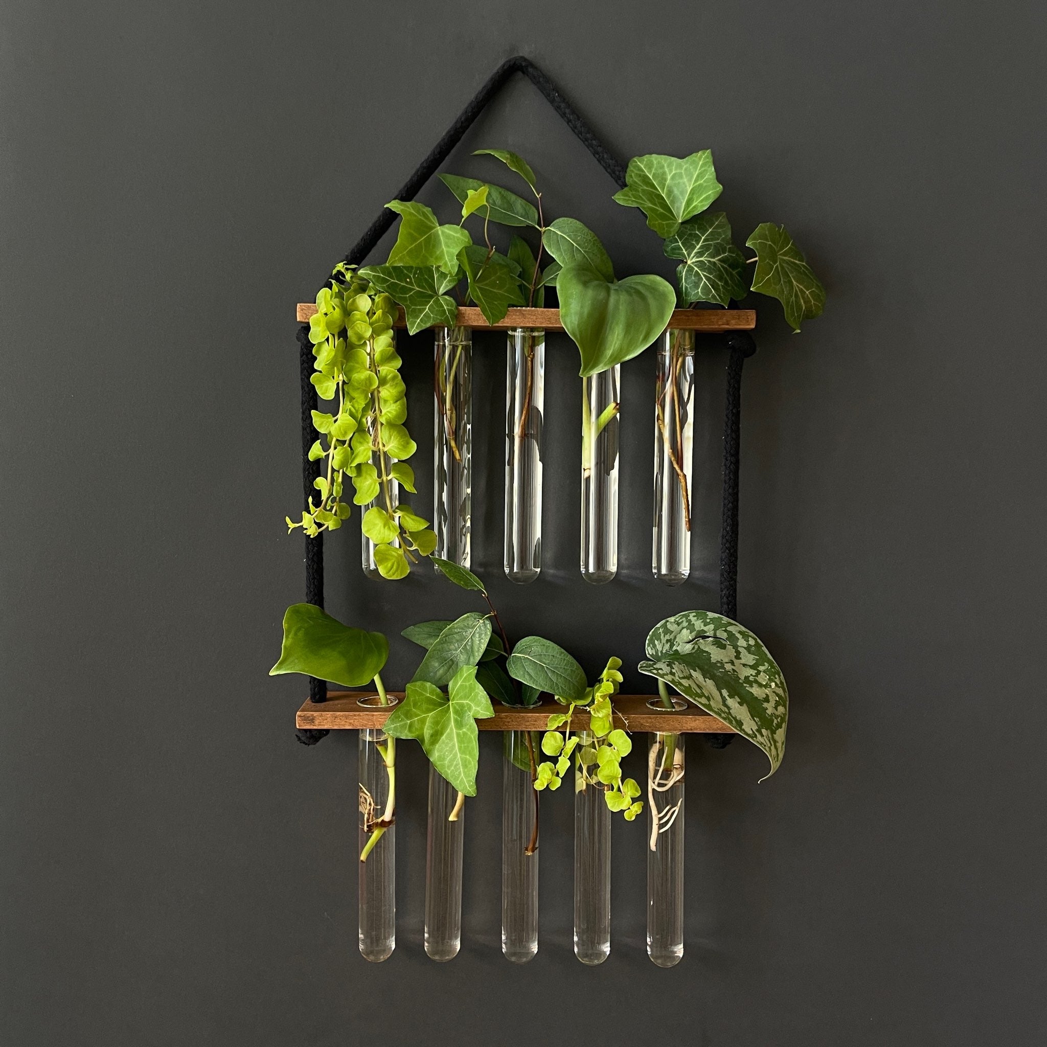Pflanzenvermehrungsstation hängend aus Holz – 10 Reagenzgläser, handgefertigt