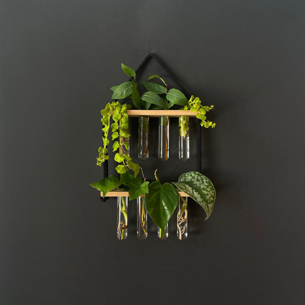 Pflanzenvermehrungsstation Holz hängend - 8 Reagenzgläser Handarbeit