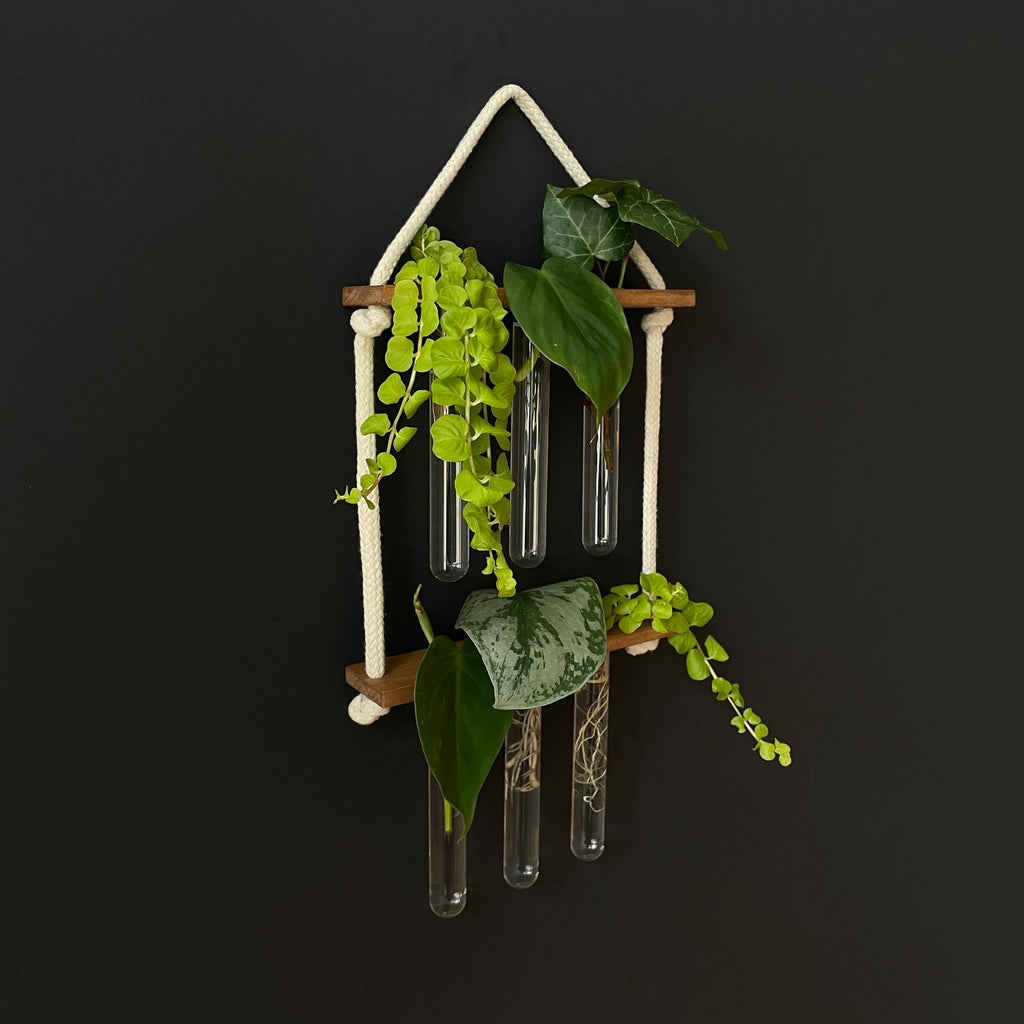 Pflanzenvermehrungsstation aus Holz – 6 Reagenzgläser, hängend & handgemacht