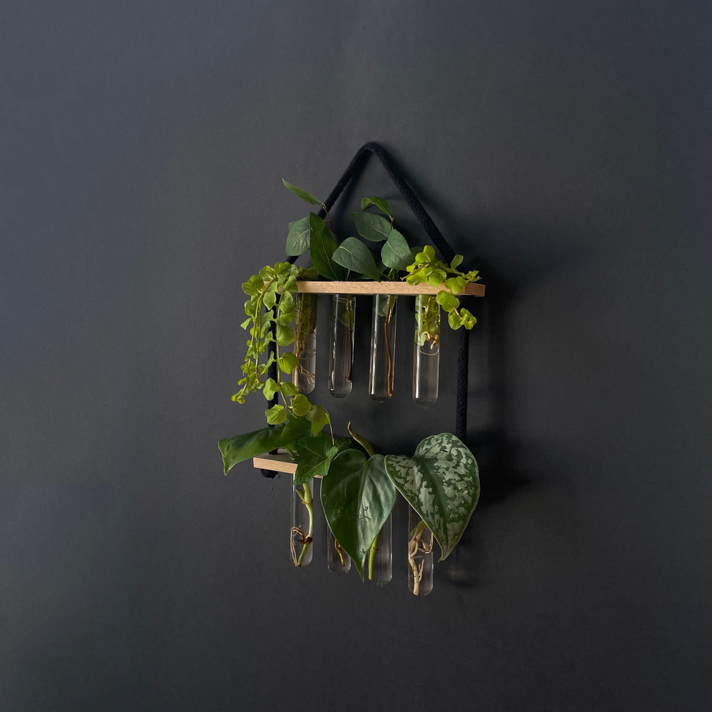 Pflanzenvermehrungsstation Holz hängend - 8 Reagenzgläser Handarbeit