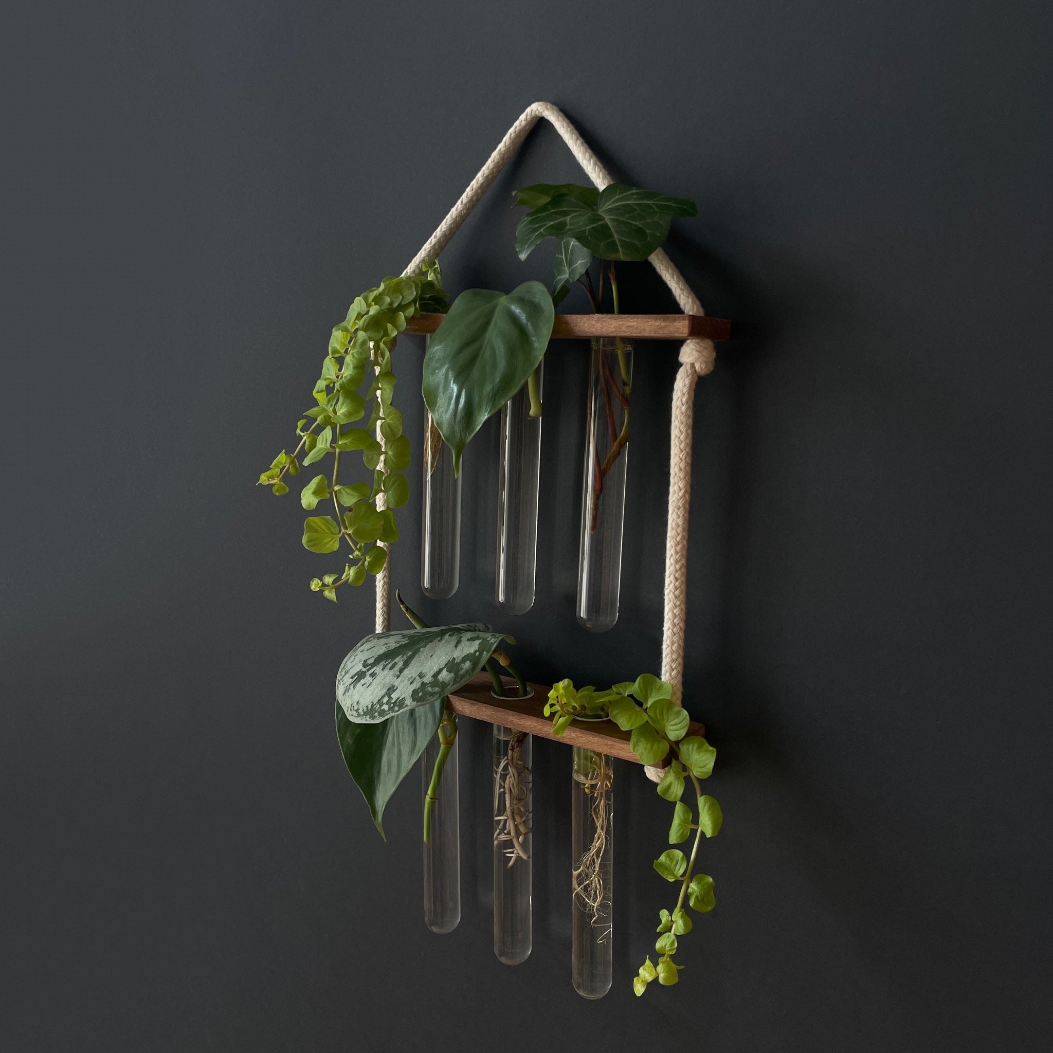 Pflanzenvermehrungsstation aus Holz – 6 Reagenzgläser, hängend & handgemacht