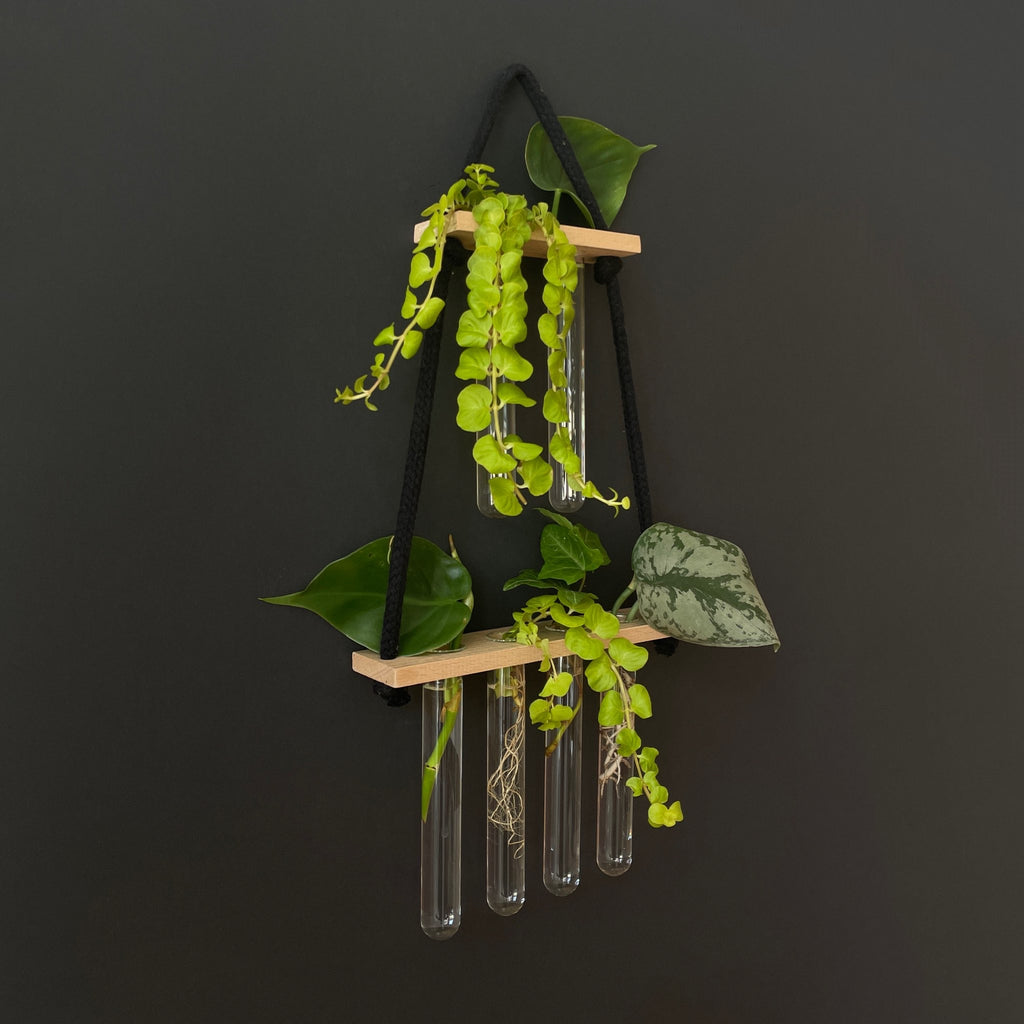Pflanzenvermehrungsstation Holz hängend – 6 Reagenzgläser im 2-4 Layout