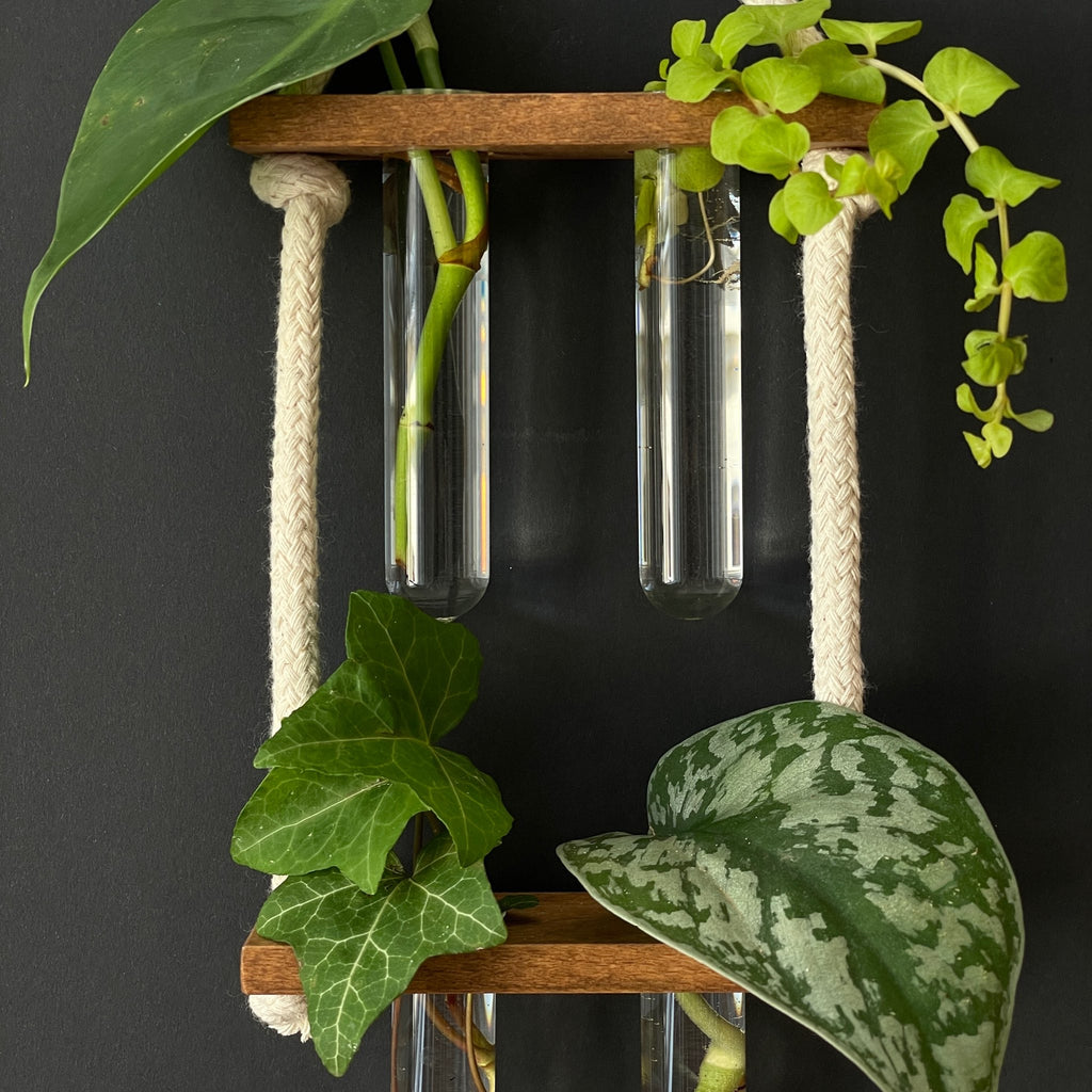 Pflanzenvermehrungsstation aus Holz – 2-2 Reagenzgläser, hängend & handgemacht