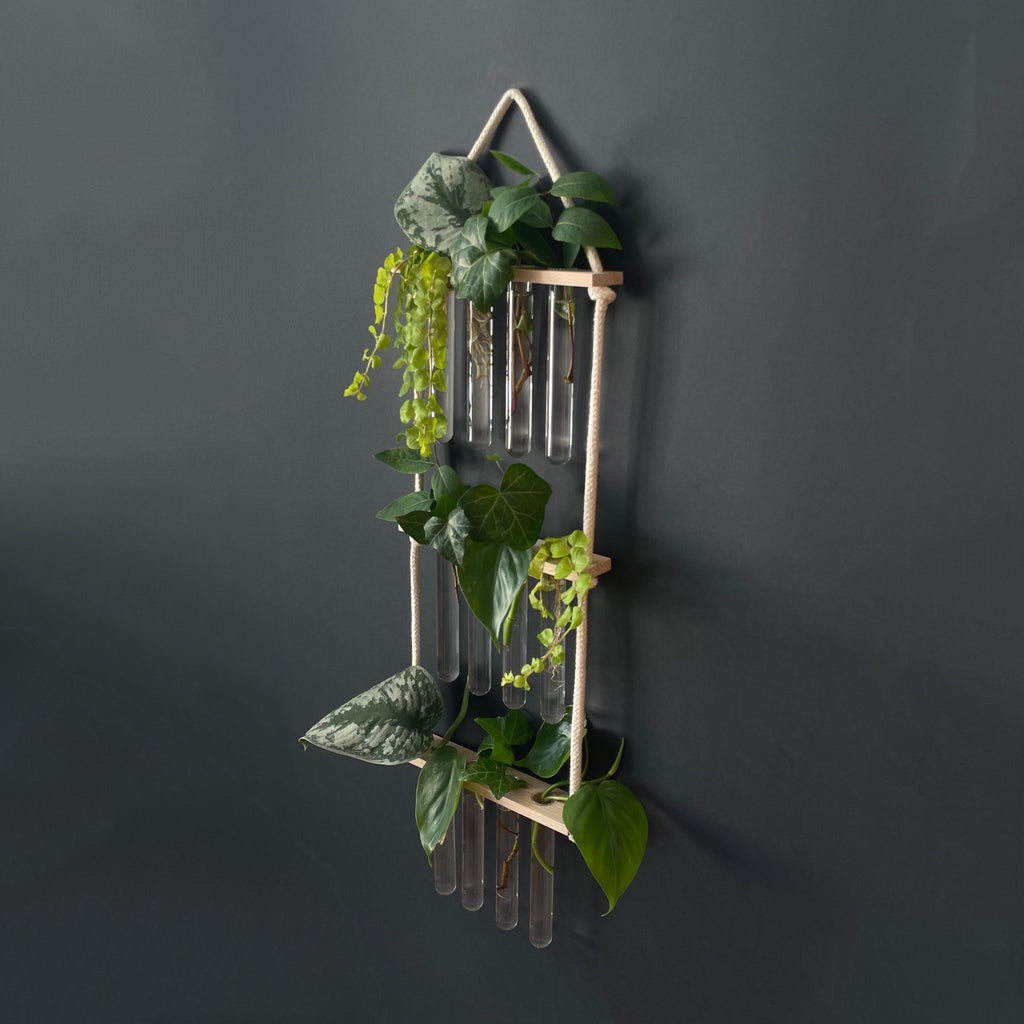 Pflanzenvermehrungsstation Holz - 12 Reagenzgläser Handarbeit