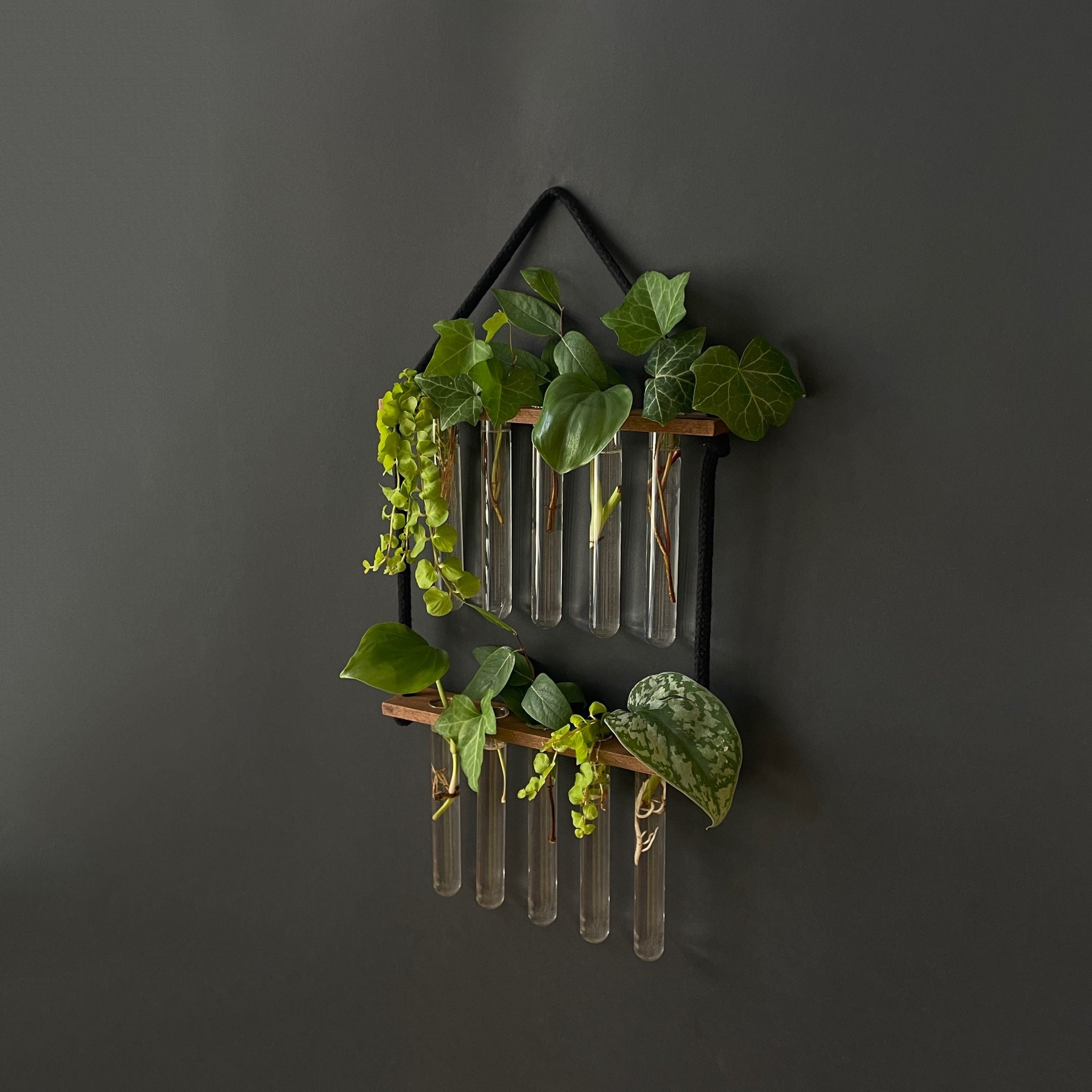 Pflanzenvermehrungsstation hängend aus Holz – 10 Reagenzgläser, handgefertigt