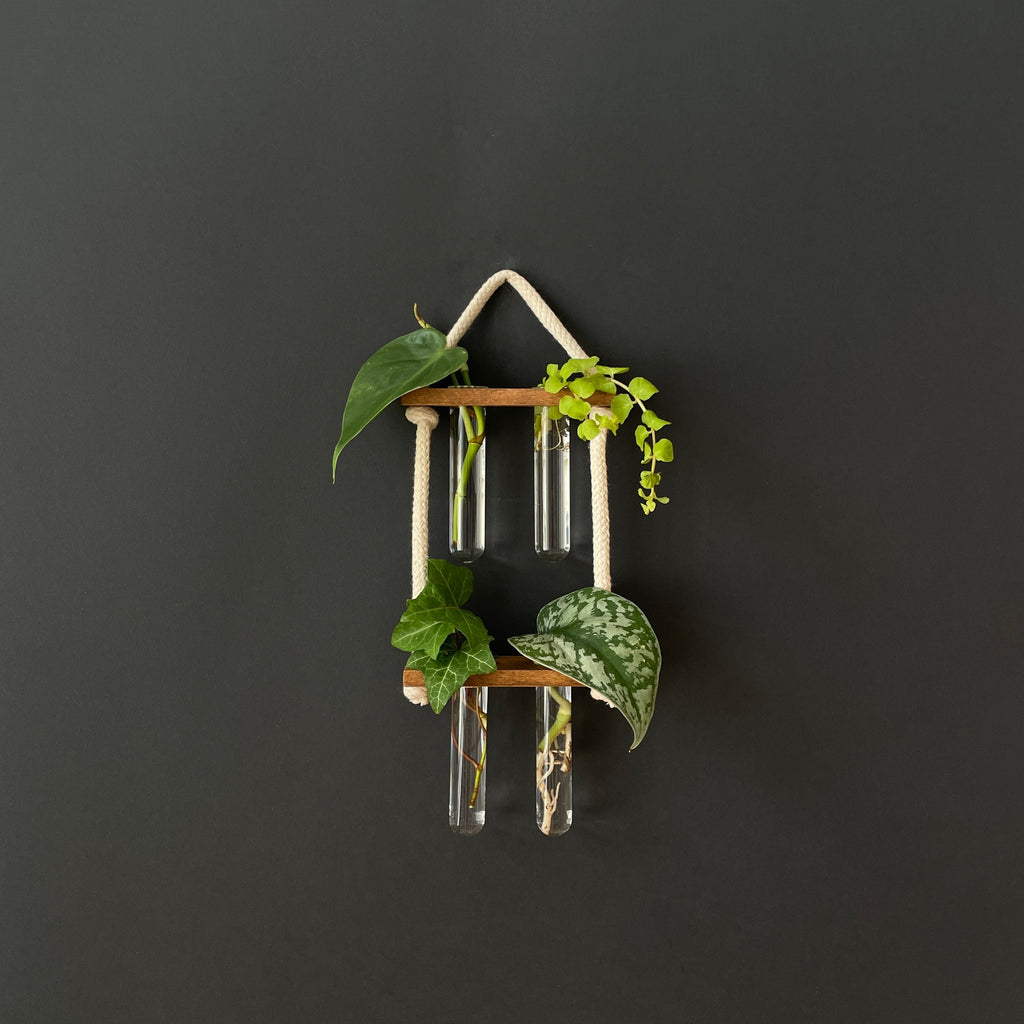 Pflanzenvermehrungsstation aus Holz – 2-2 Reagenzgläser, hängend & handgemacht