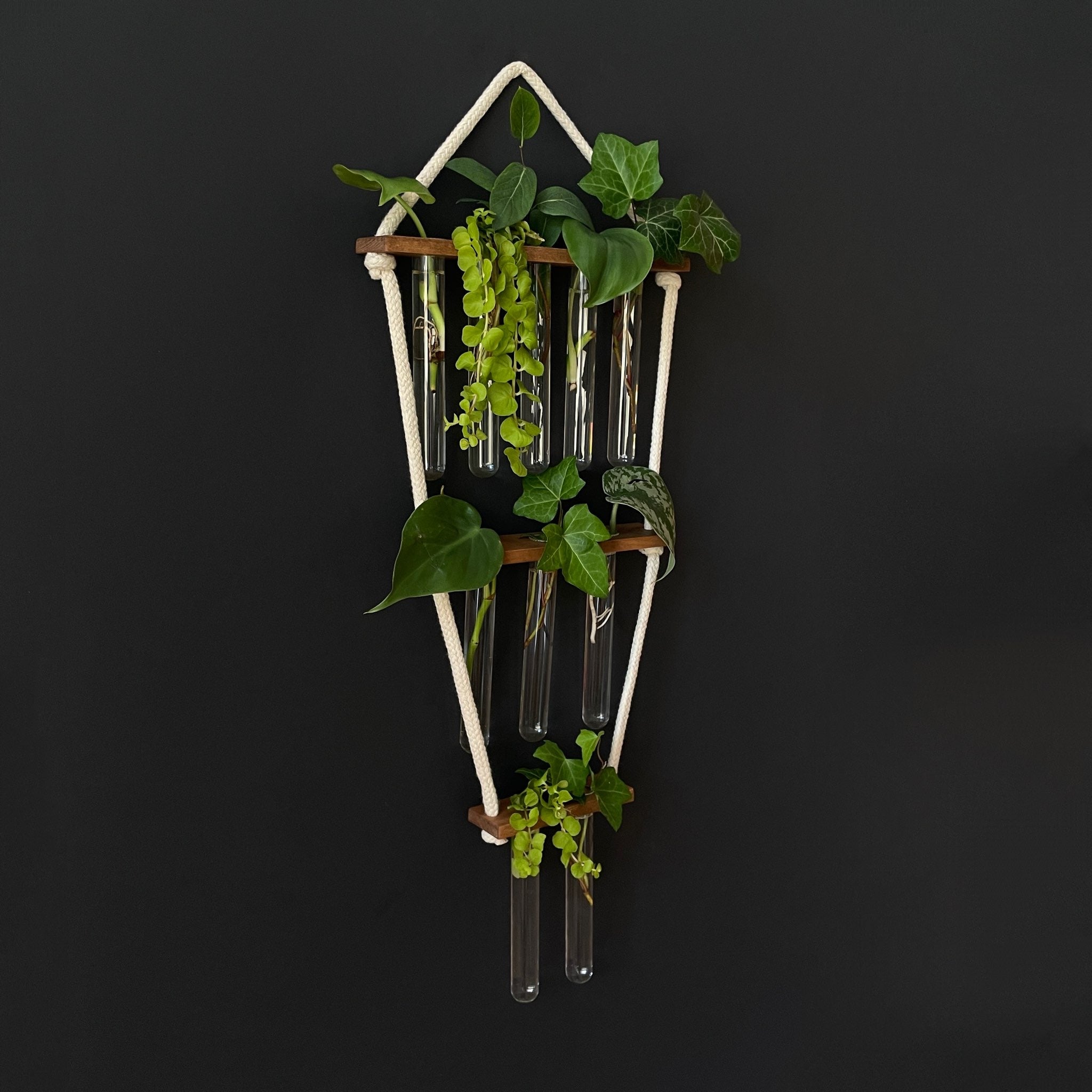 Hängende Pflanzenvermehrungsstation aus Holz – 10 Reagenzgläser im 5-3-2 Design