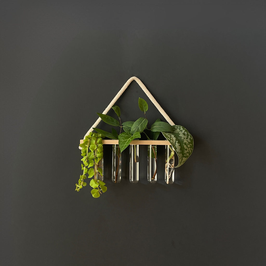 Pflanzenvermehrungsstation aus Holz mit 5 Reagenzgläsern