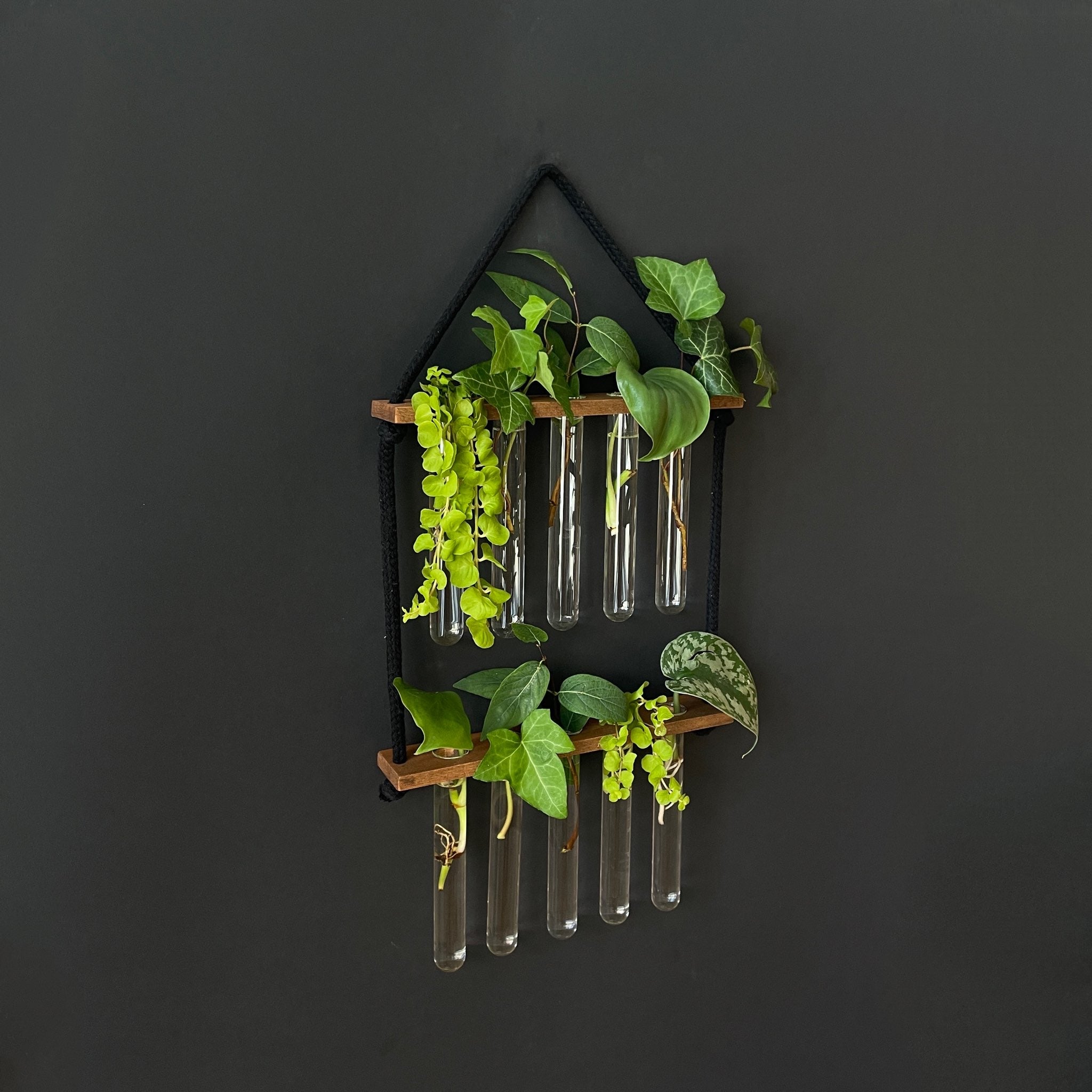 Pflanzenvermehrungsstation hängend aus Holz – 10 Reagenzgläser, handgefertigt