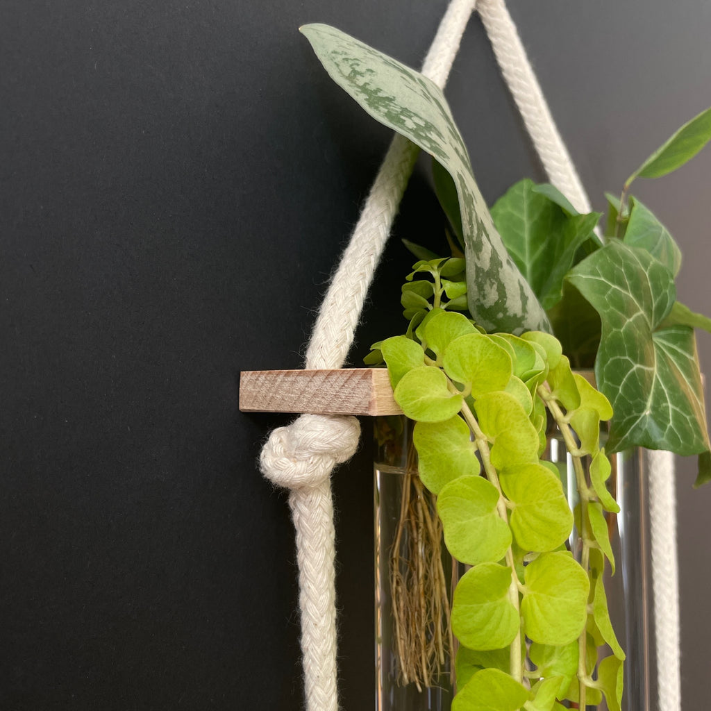 Pflanzenvermehrungsstation Holz - 12 Reagenzgläser Handarbeit